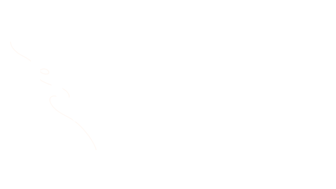ROCA Spa